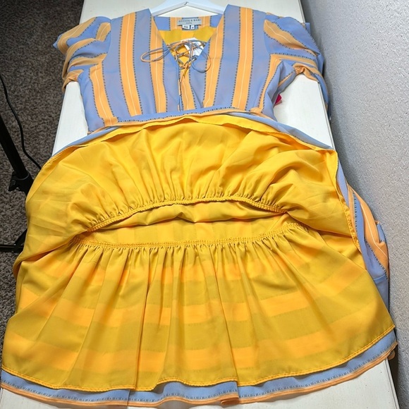 NWT Sachin & Babi x Dillard's Deanna Stripe Cuff Sleeve Mini Dress Size 10 - Picture 9 of 16